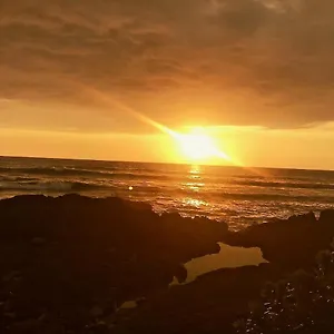 Unwind On Your Fantasy Hawaiian Vacation- 1bd/1ba In Kailua-kona, Hawaii Apartment